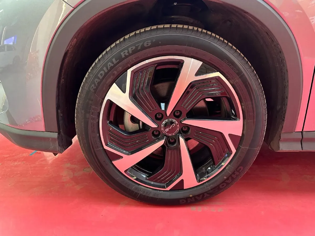 2025 BYD Sea Lion 05 DM-i 1.5L 101HP L4 E-CVT PHEV 18.3KWH,autocango,china used car exporter,china ev exporter,chinese used car exporter,chinese used ev exporter