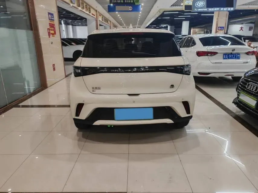 2023 BYD Dolphin BEV 44.928KWH,autocango,china used car exporter,china ev exporter,chinese used car exporter,chinese used ev exporter