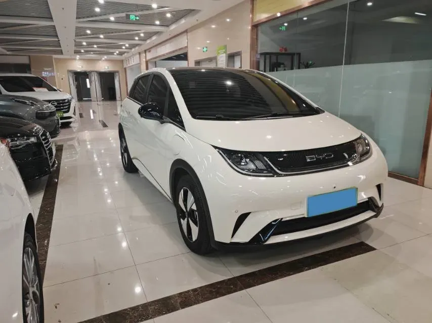 2023 BYD Dolphin BEV 44.928KWH,autocango,china used car exporter,china ev exporter,chinese used car exporter,chinese used ev exporter