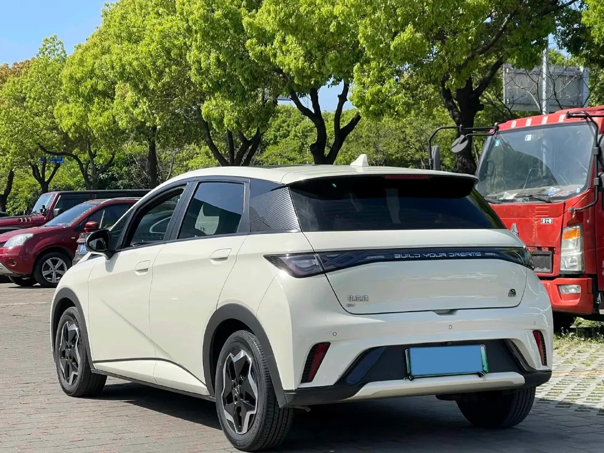 2023 BYD Dolphin BEV 44.928KWH,autocango,china used car exporter,china ev exporter,chinese used car exporter,chinese used ev exporter
