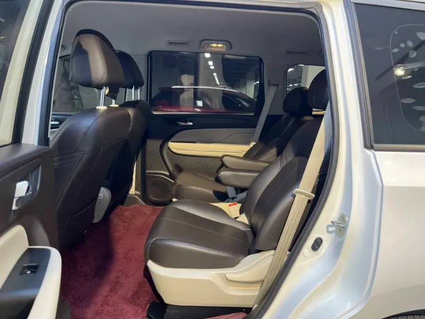 2019 GAC Trumpchi M6 1.5T 171HP L4 6AT,autocango,china used car exporter,china ev exporter,chinese used car exporter,chinese used ev exporter