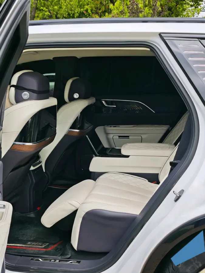 2021 HongQi E-HS9 BEV 99KWH,autocango,china used car exporter,china ev exporter,chinese used car exporter,chinese used ev exporter