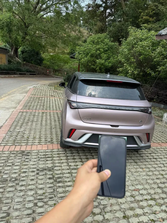 2021 BYD e2 BEV 43.2KWH,autocango,china used car exporter,china ev exporter,chinese used car exporter,chinese used ev exporter