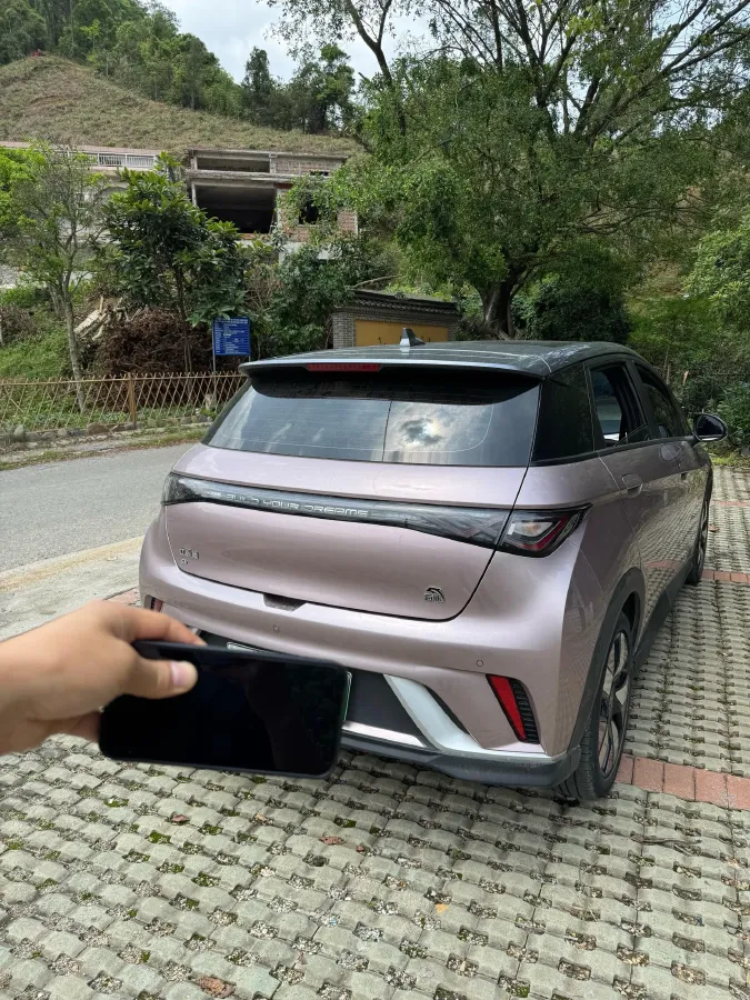 2021 BYD e2 BEV 43.2KWH,autocango,china used car exporter,china ev exporter,chinese used car exporter,chinese used ev exporter