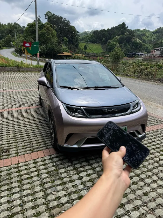 2021 BYD e2 BEV 43.2KWH,autocango,china used car exporter,china ev exporter,chinese used car exporter,chinese used ev exporter