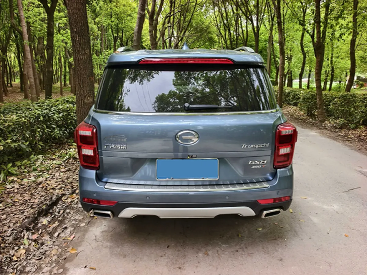 2019 GAC Trumpchi GS8 2.0T 252HP L4 6AT,autocango,china used car exporter,china ev exporter,chinese used car exporter,chinese used ev exporter