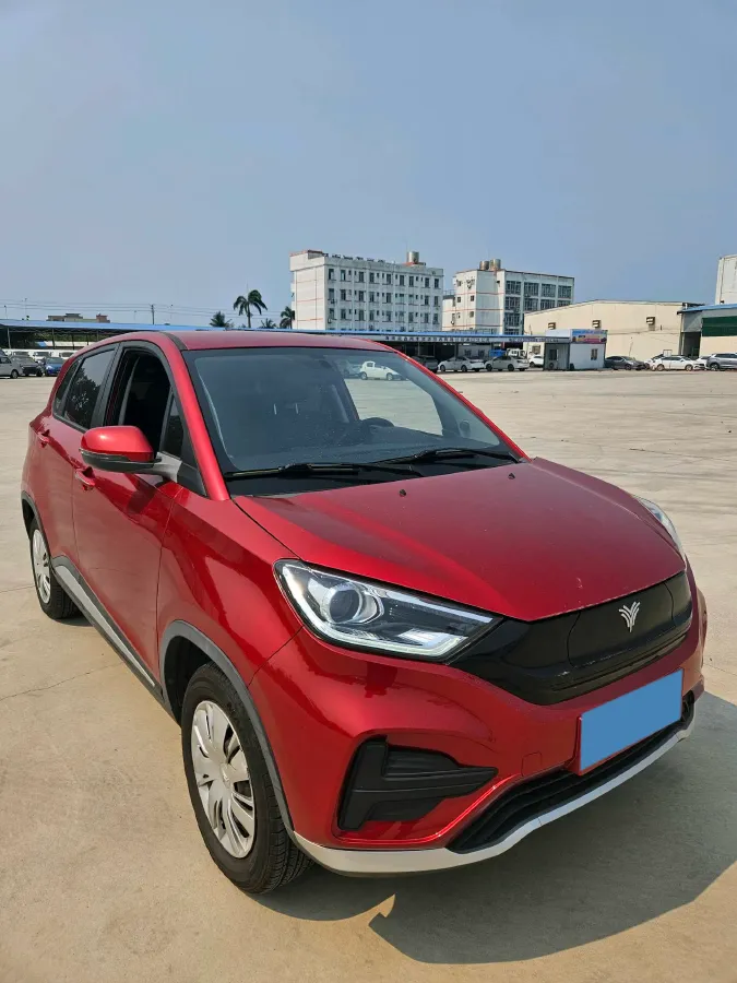 2019 Ora BlackCat BEV 30.7KWH,autocango,china used car exporter,china ev exporter,chinese used car exporter,chinese used ev exporter