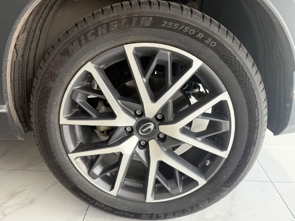 2024 GAC Trumpchi GS8 2.0T 252HP L4 8AT,autocango,china used car exporter,china ev exporter,chinese used car exporter,chinese used ev exporter