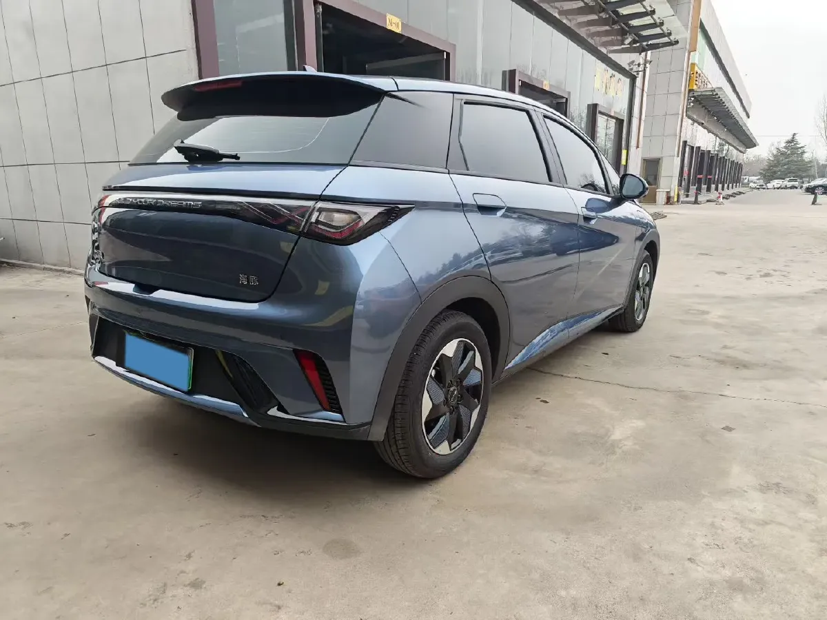 2025 BYD Dolphin BEV 44.928KWH,autocango,china used car exporter,china ev exporter,chinese used car exporter,chinese used ev exporter