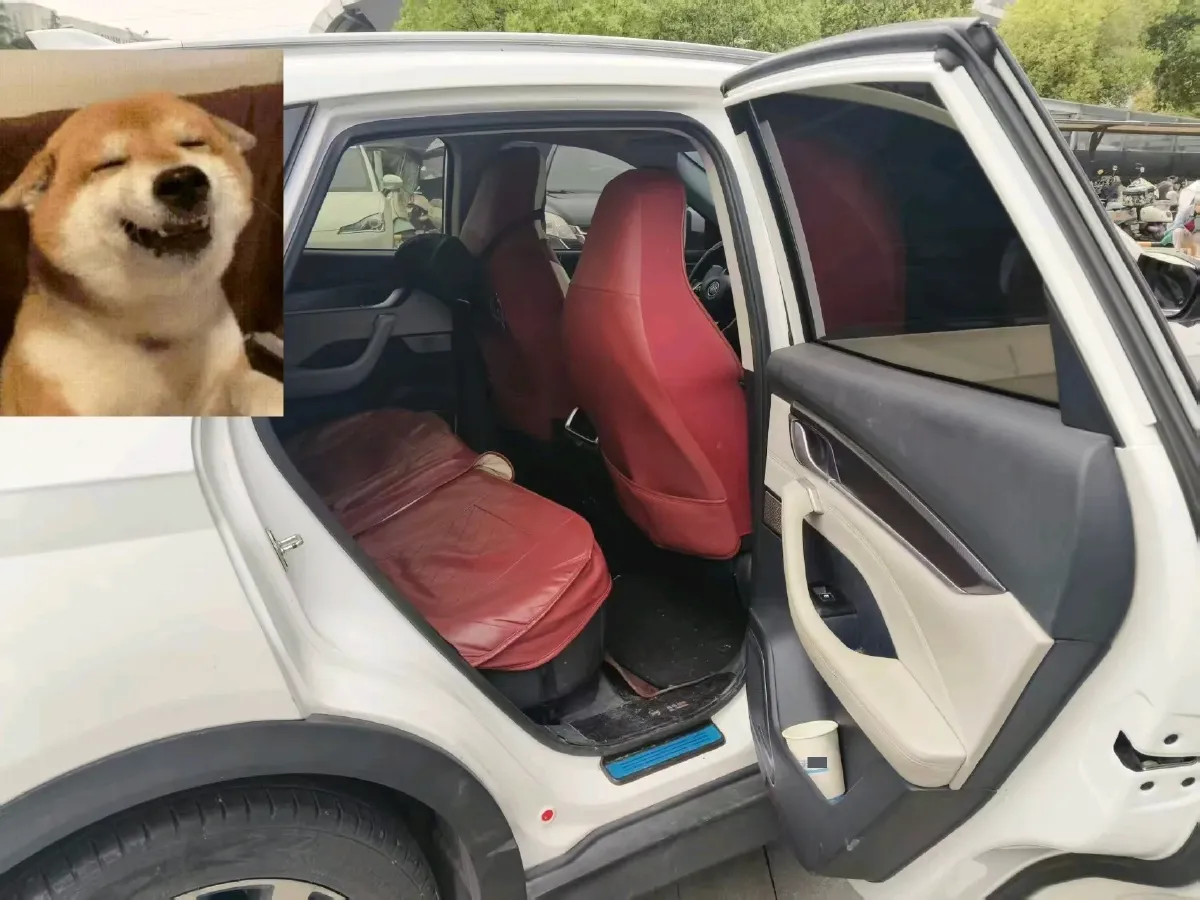 2020 Weltmeister EX5 BEV,autocango,china used car exporter,china ev exporter,chinese used car exporter,chinese used ev exporter