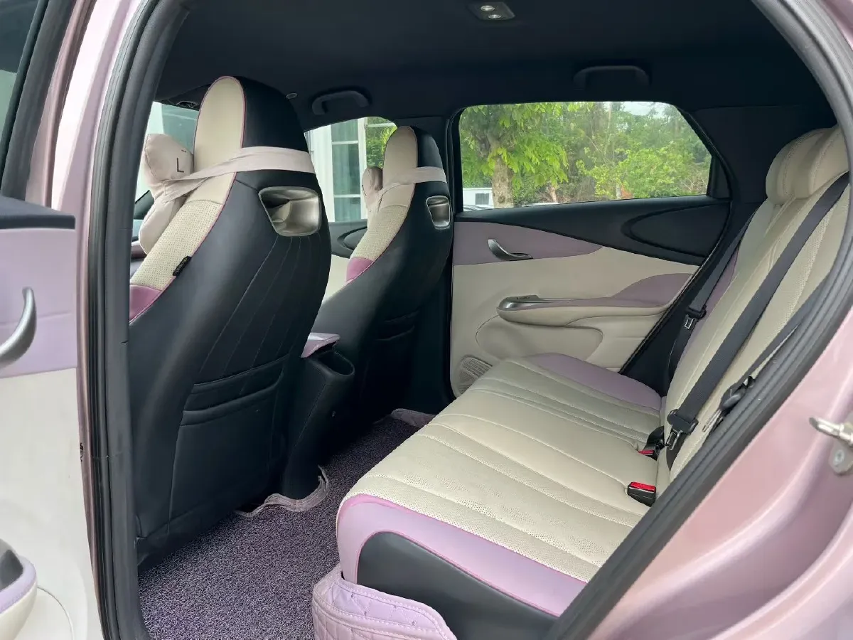 2023 BYD Dolphin BEV 44.928KWH,autocango,china used car exporter,china ev exporter,chinese used car exporter,chinese used ev exporter