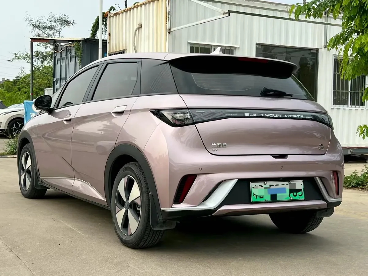 2023 BYD Dolphin BEV 44.928KWH,autocango,china used car exporter,china ev exporter,chinese used car exporter,chinese used ev exporter