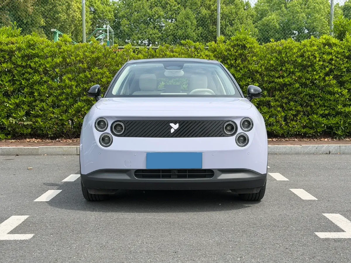 2025 Firefly Firefly BEV,autocango,china used car exporter,china ev exporter,chinese used car exporter,chinese used ev exporter