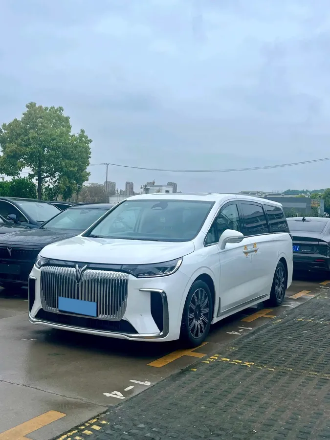 2025 Voyah Dream BEV 108.7KWH,autocango,china used car exporter,china ev exporter,chinese used car exporter,chinese used ev exporter
