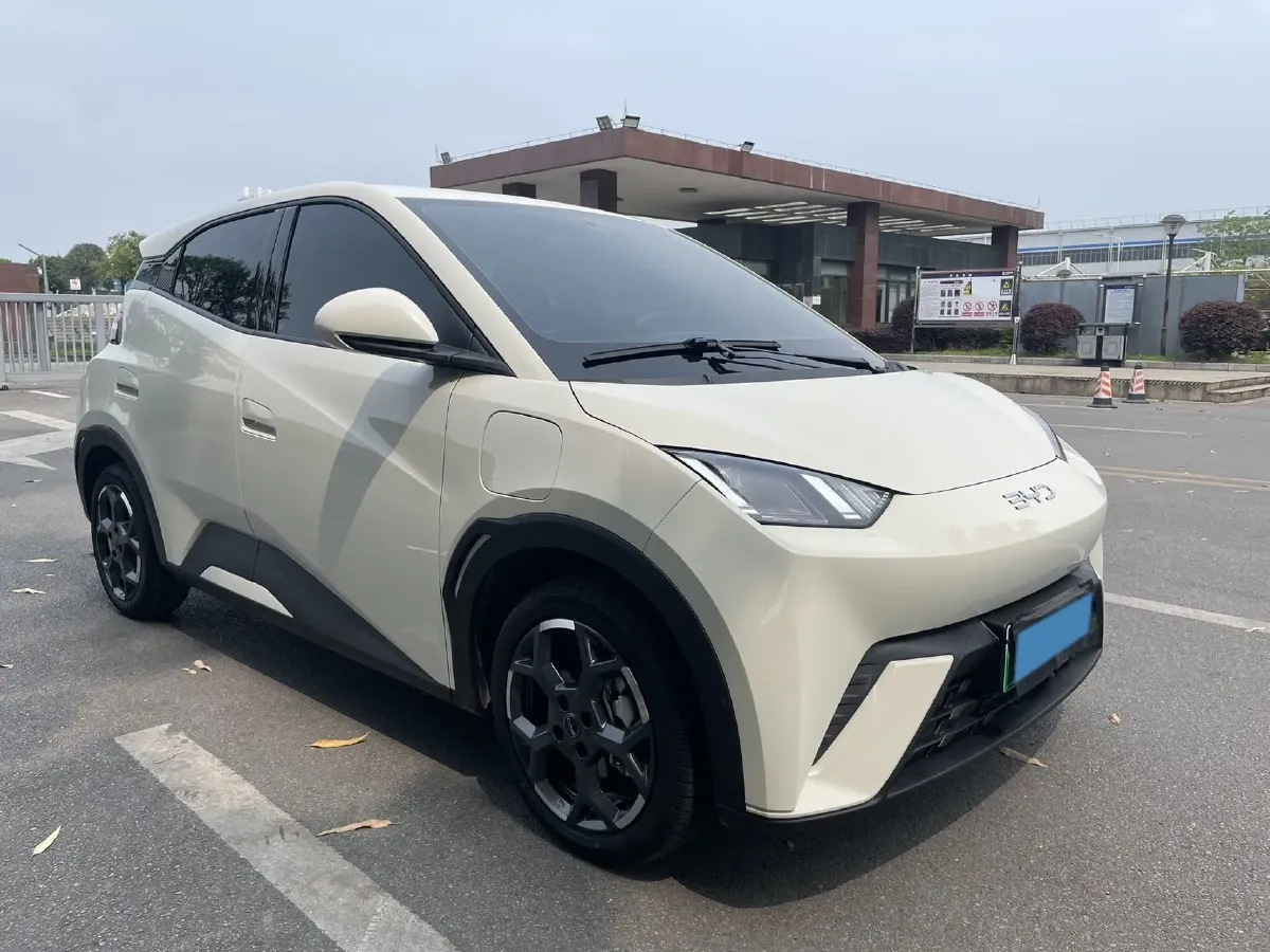 2024 BYD Seagull BEV 30.08KWH,autocango,china used car exporter,china ev exporter,chinese used car exporter,chinese used ev exporter