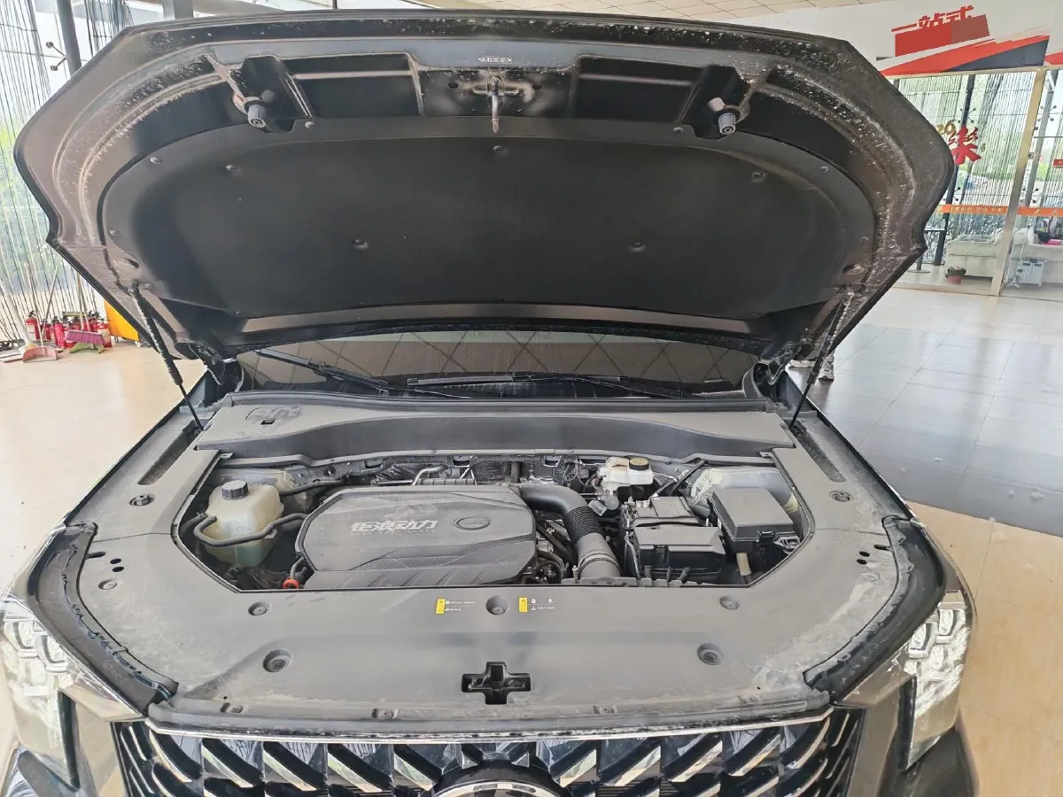 2024 GAC Trumpchi GS8 2.0T 252HP L4 8AT,autocango,china used car exporter,china ev exporter,chinese used car exporter,chinese used ev exporter