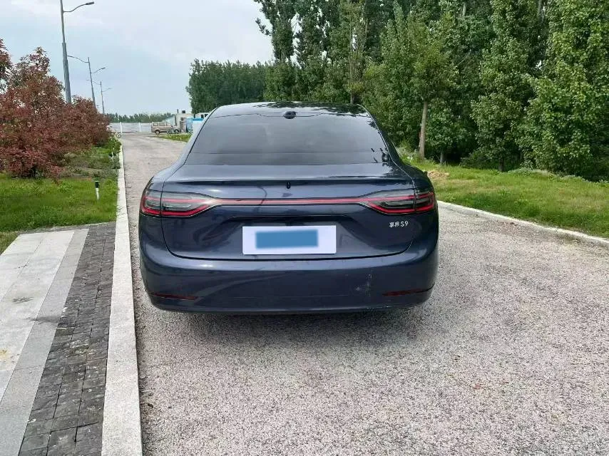 2025 HIMA Stelato S9 REEV 160HP REEV,autocango,china used car exporter,china ev exporter,chinese used car exporter,chinese used ev exporter