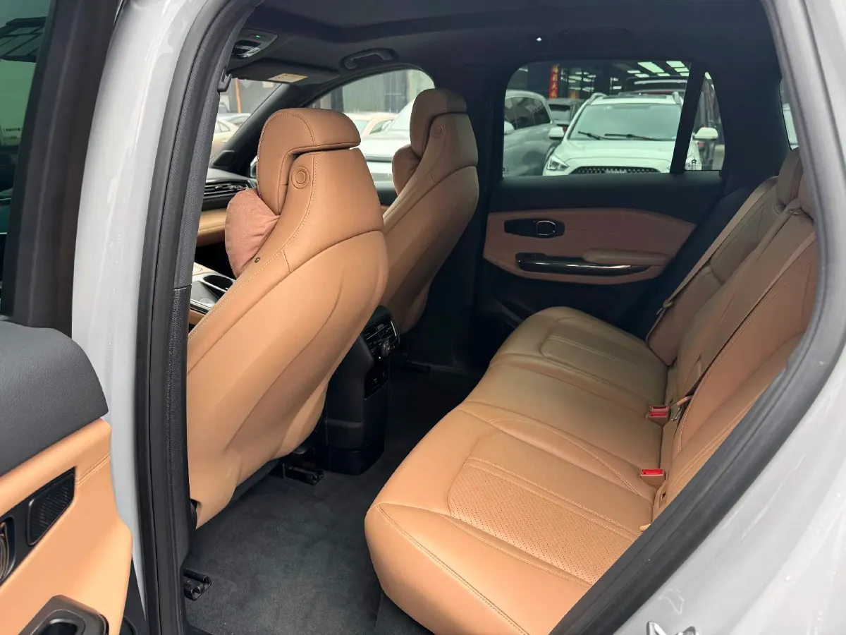 2020 Lexus NX 2.5L 155HP L4 E-CVT Hybrid,autocango,china used car exporter,china ev exporter,chinese used car exporter,chinese used ev exporter