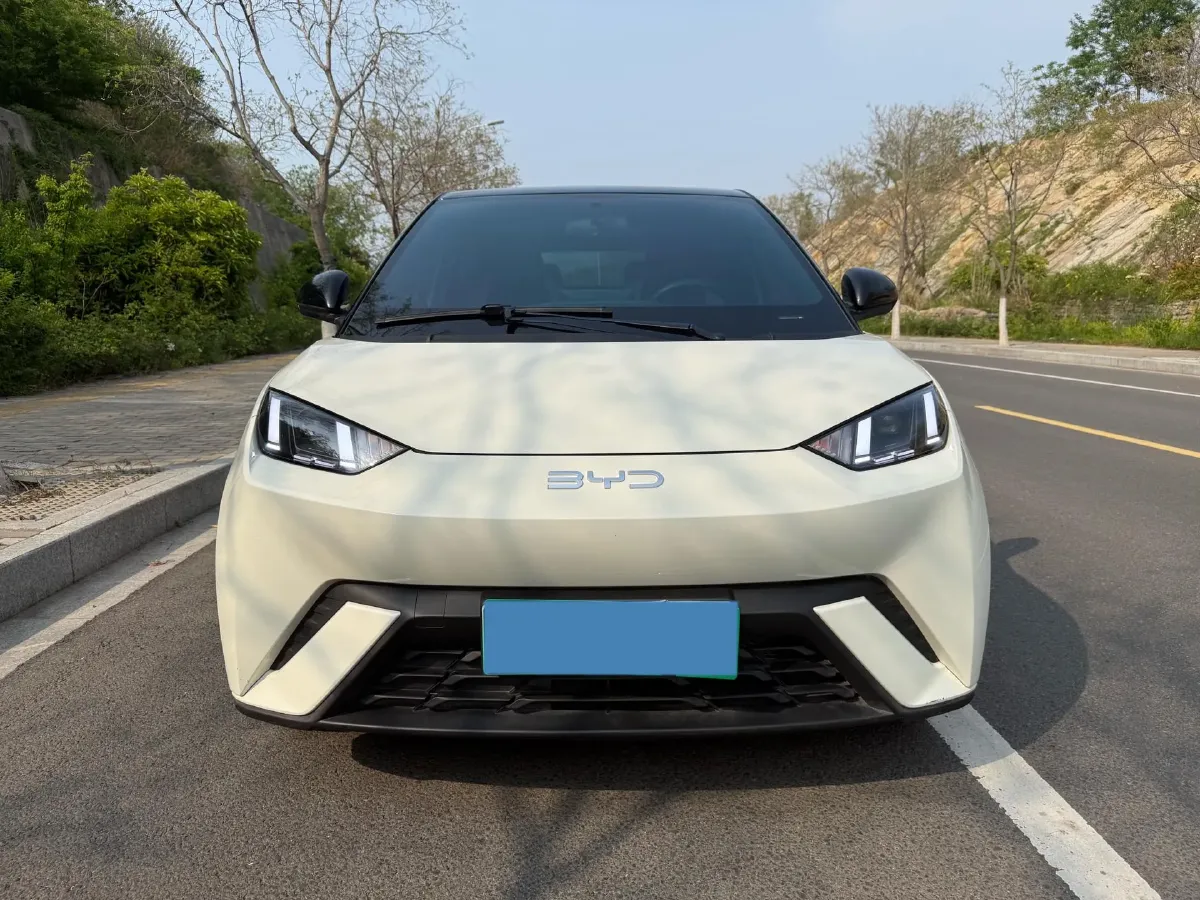 2023 BYD Seagull BEV 30.08KWH,autocango,china used car exporter,china ev exporter,chinese used car exporter,chinese used ev exporter