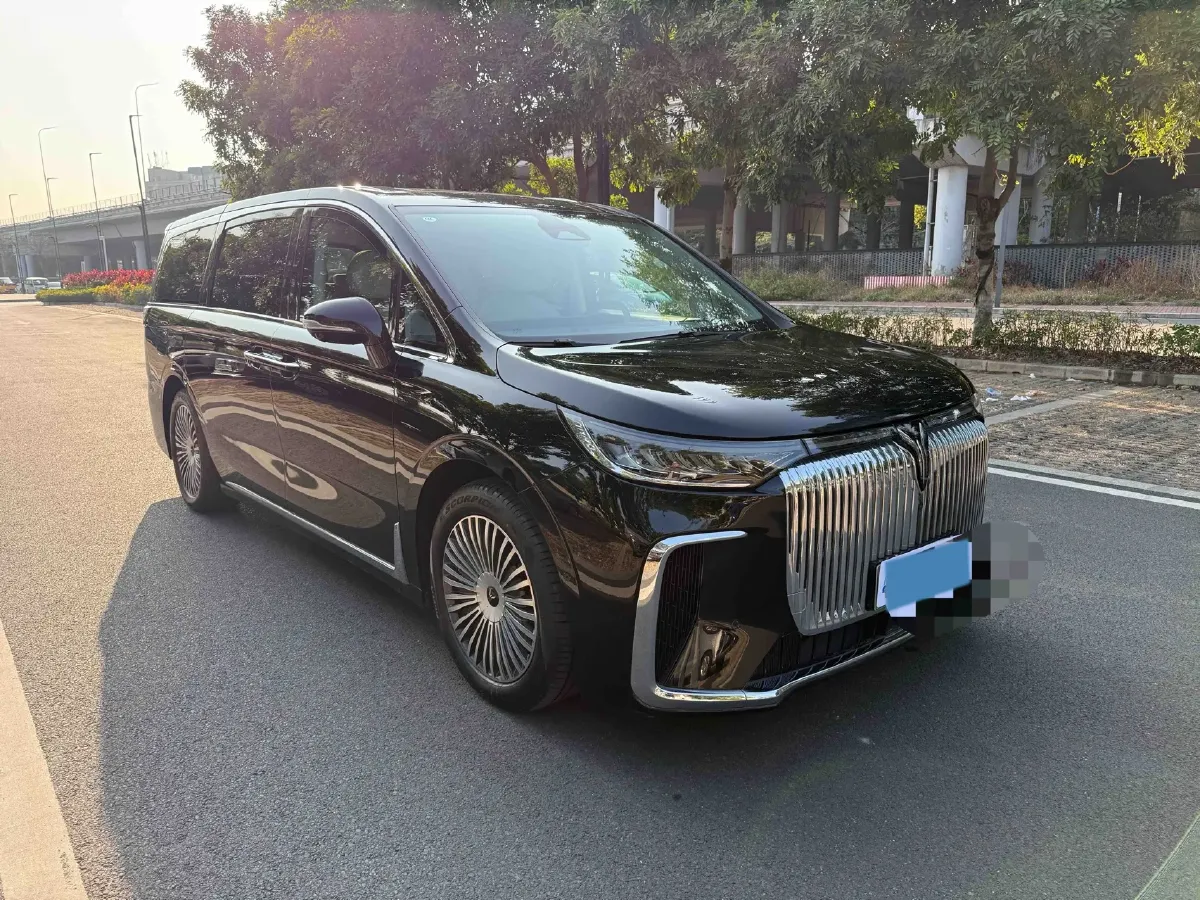 2025 Voyah Dream 1.5T 150HP L4 PHEV 41.7KWH,autocango,china used car exporter,china ev exporter,chinese used car exporter,chinese used ev exporter