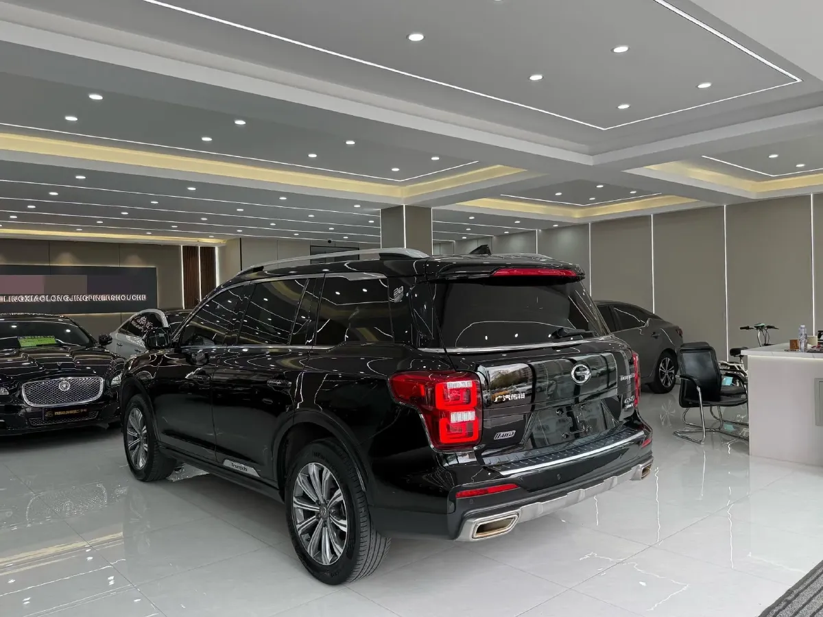 2020 GAC Trumpchi GS8 2.0T 252HP L4 6AT,autocango,china used car exporter,china ev exporter,chinese used car exporter,chinese used ev exporter