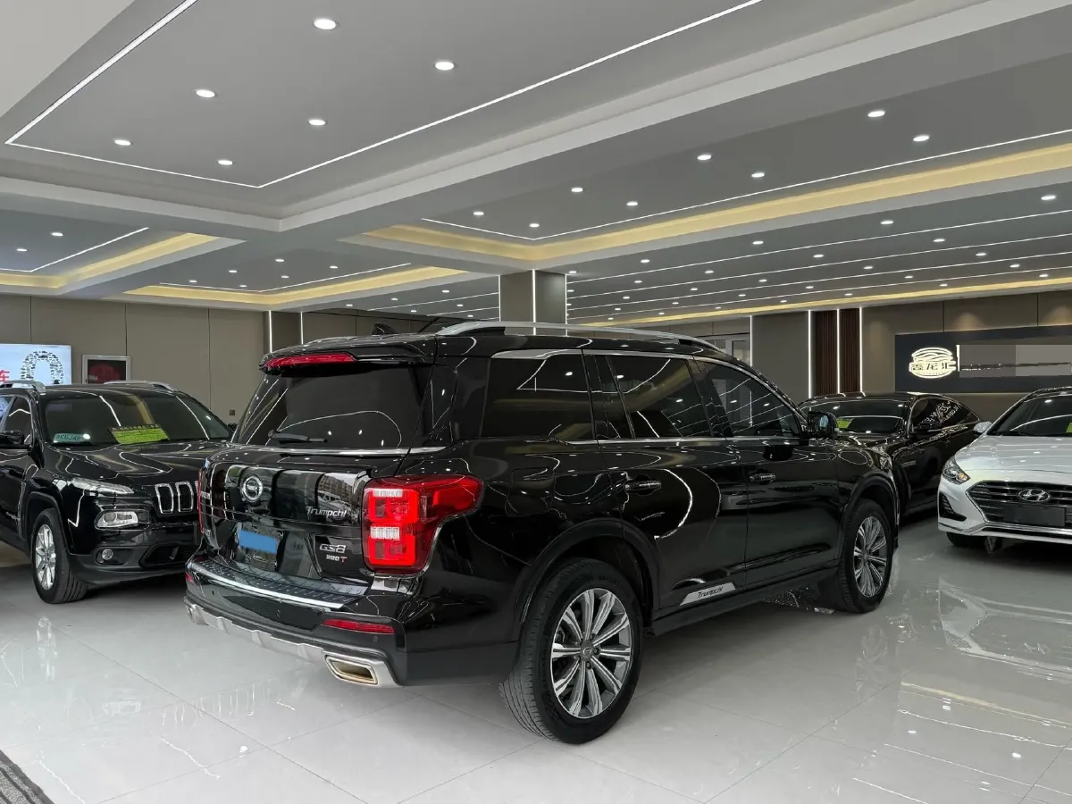 2020 GAC Trumpchi GS8 2.0T 252HP L4 6AT,autocango,china used car exporter,china ev exporter,chinese used car exporter,chinese used ev exporter