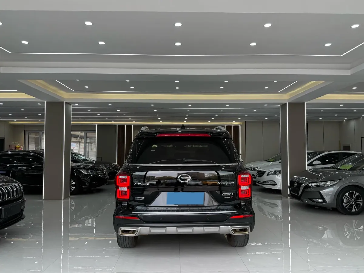 2020 GAC Trumpchi GS8 2.0T 252HP L4 6AT,autocango,china used car exporter,china ev exporter,chinese used car exporter,chinese used ev exporter