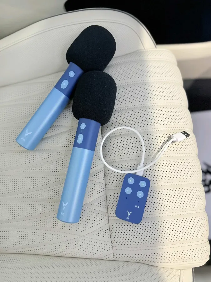 2024 Voyah Dream 1.5T 150HP L4 PHEV 43KWH,autocango,china used car exporter,china ev exporter,chinese used car exporter,chinese used ev exporter