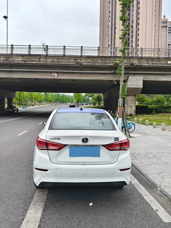 2019 ChangAn Alsvin 1.5L 107HP L4 5DCT,autocango,china used car exporter,china ev exporter,chinese used car exporter,chinese used ev exporter