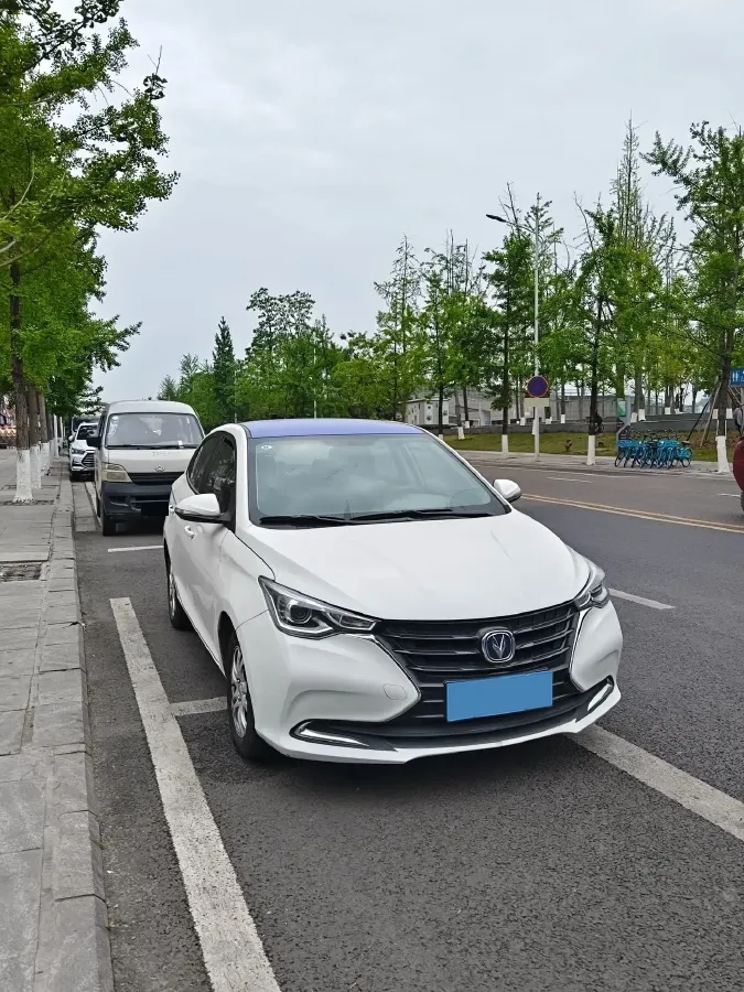 2019 ChangAn Alsvin 1.5L 107HP L4 5DCT,autocango,china used car exporter,china ev exporter,chinese used car exporter,chinese used ev exporter
