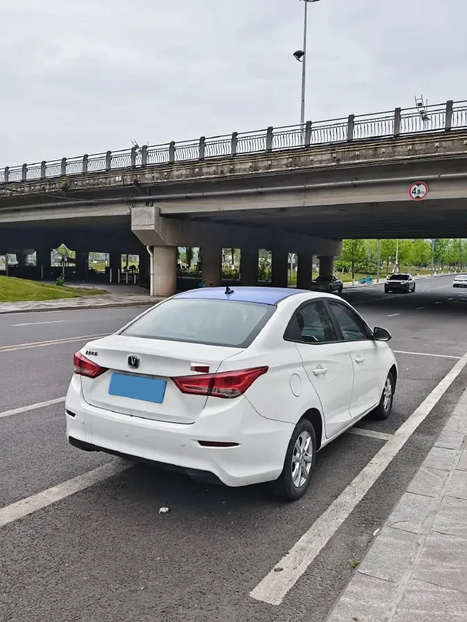 2019 ChangAn Alsvin 1.5L 107HP L4 5DCT,autocango,china used car exporter,china ev exporter,chinese used car exporter,chinese used ev exporter