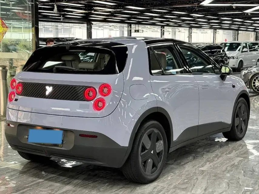 2025 Firefly Firefly BEV,autocango,china used car exporter,china ev exporter,chinese used car exporter,chinese used ev exporter