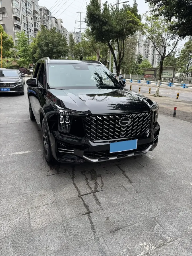 2022 GAC Trumpchi GS8 2.0T 252HP L4 8AT,autocango,china used car exporter,china ev exporter,chinese used car exporter,chinese used ev exporter