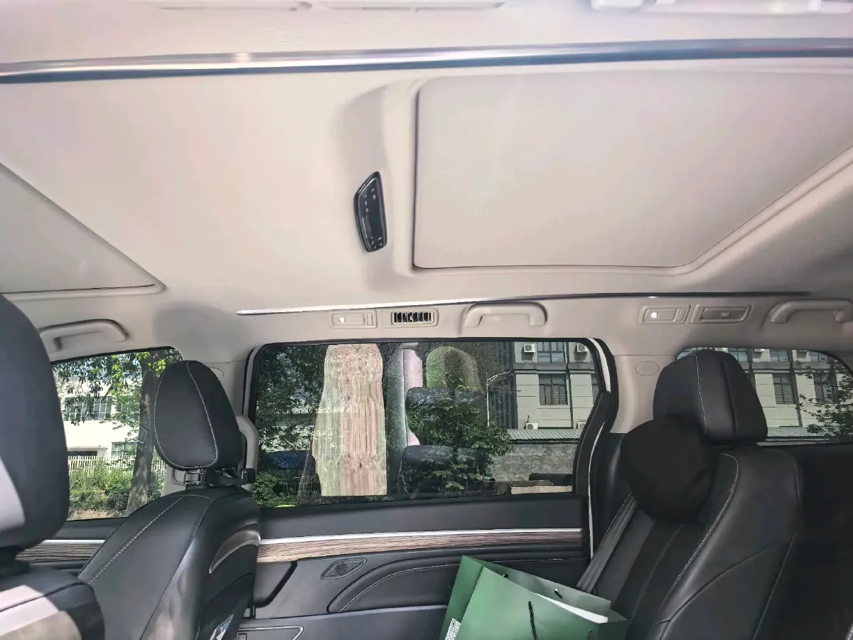 2023 GAC Trumpchi M8 2.0T 252HP L4 8AT,autocango,china used car exporter,china ev exporter,chinese used car exporter,chinese used ev exporter