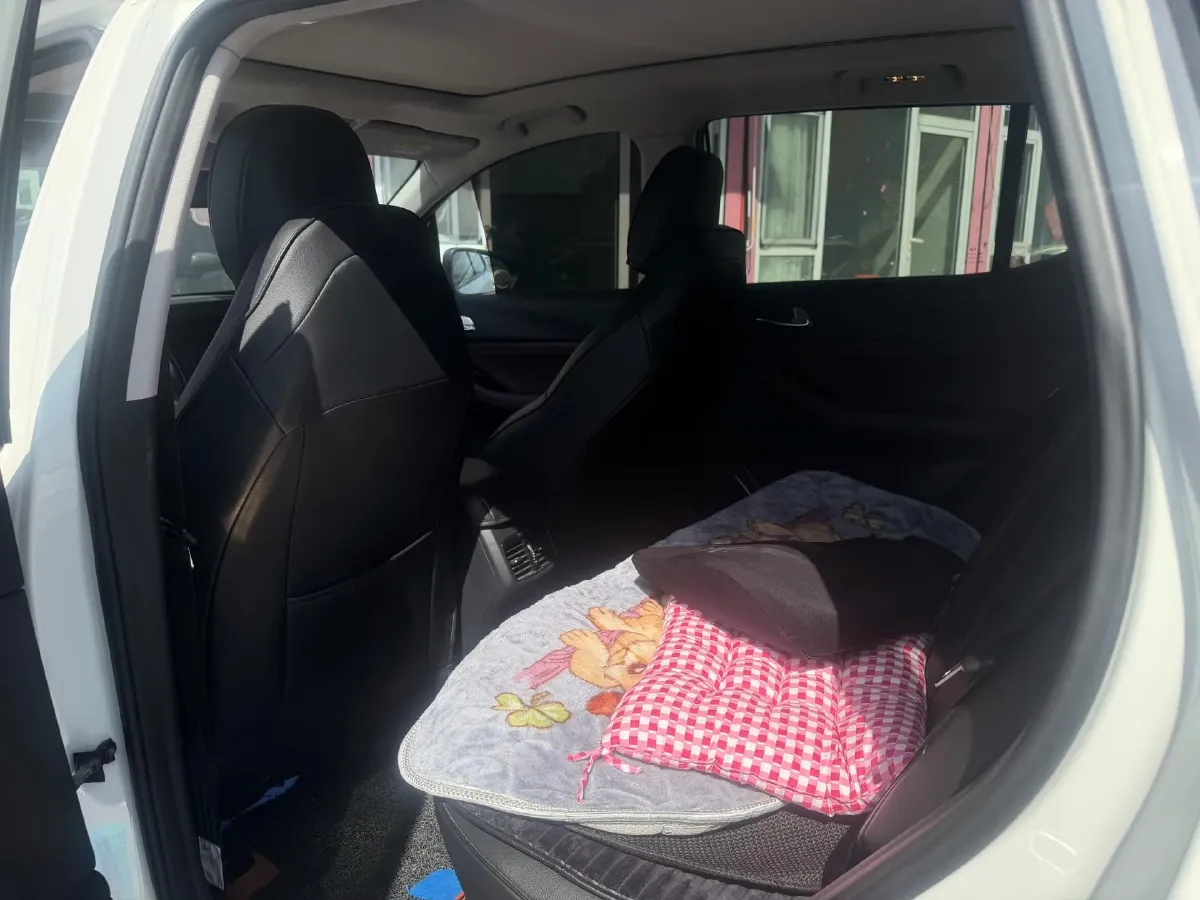 2020 GAC Trumpchi GS4 1.5T 169HP L4 6AT,autocango,china used car exporter,china ev exporter,chinese used car exporter,chinese used ev exporter