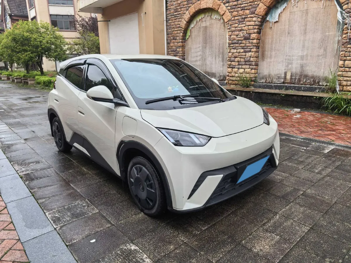 2024 BYD Seagull BEV 30.08KWH,autocango,china used car exporter,china ev exporter,chinese used car exporter,chinese used ev exporter