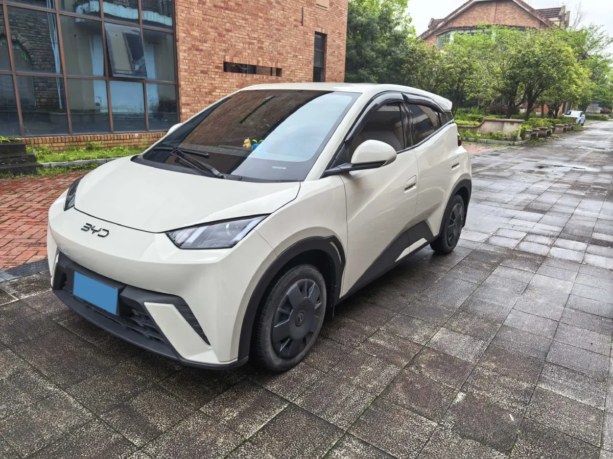 2024 BYD Seagull BEV 30.08KWH,autocango,china used car exporter,china ev exporter,chinese used car exporter,chinese used ev exporter