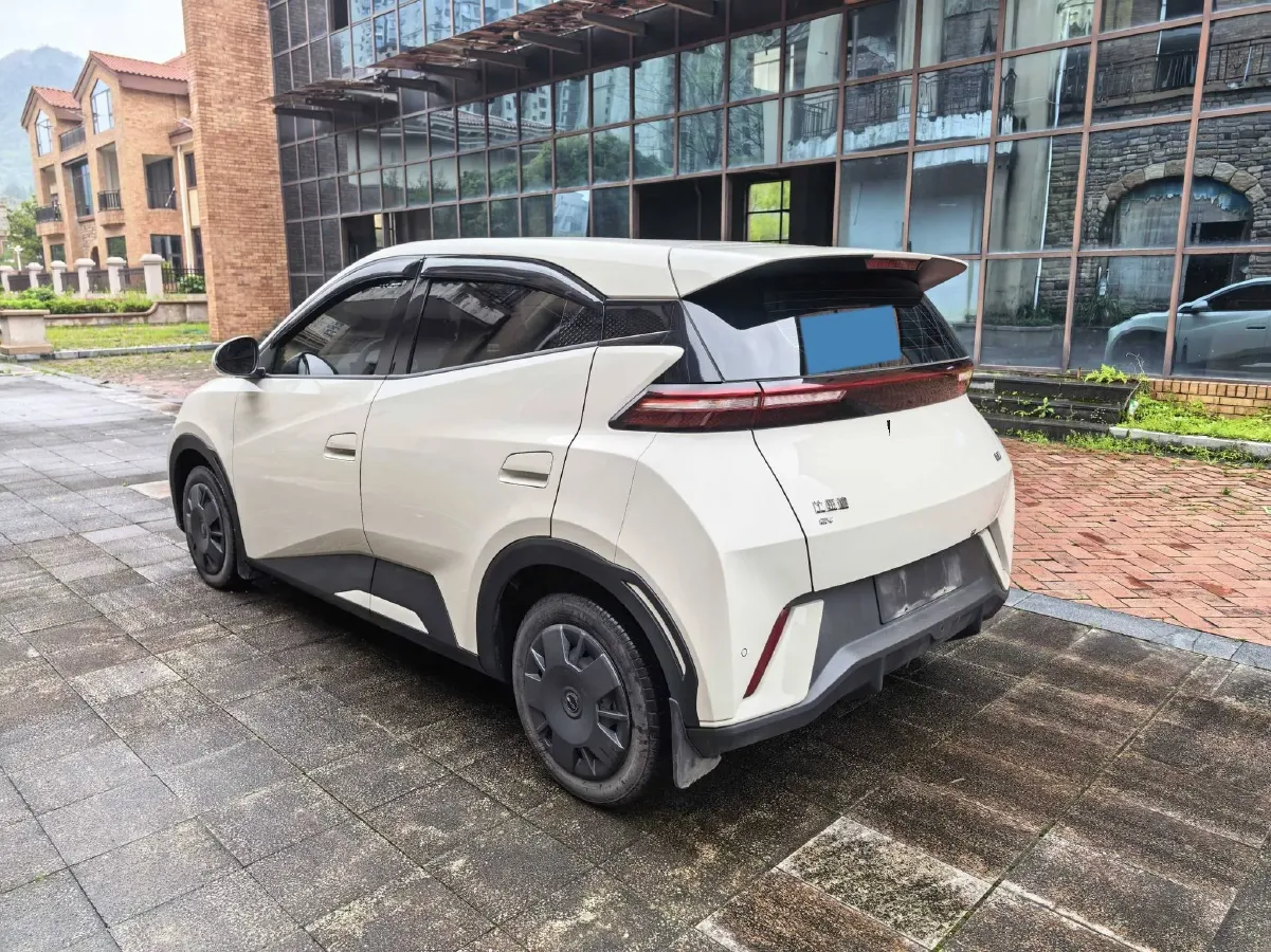 2024 BYD Seagull BEV 30.08KWH,autocango,china used car exporter,china ev exporter,chinese used car exporter,chinese used ev exporter