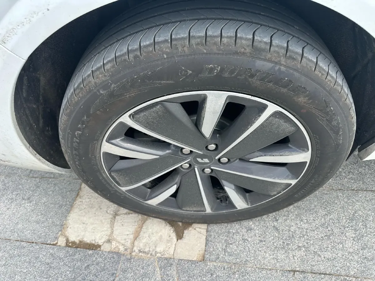 2025 Li L6 Range Extended 154HP L4 REEV,autocango,china used car exporter,china ev exporter,chinese used car exporter,chinese used ev exporter