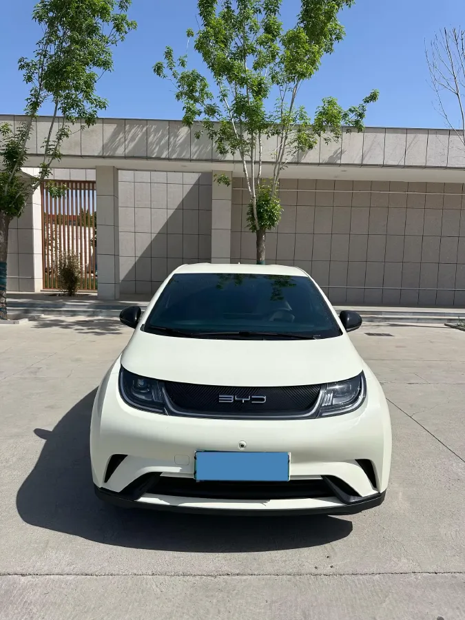 2023 BYD Dolphin BEV 44.928KWH,autocango,china used car exporter,china ev exporter,chinese used car exporter,chinese used ev exporter