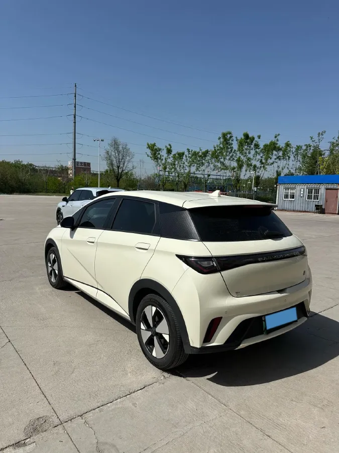 2023 BYD Dolphin BEV 44.928KWH,autocango,china used car exporter,china ev exporter,chinese used car exporter,chinese used ev exporter