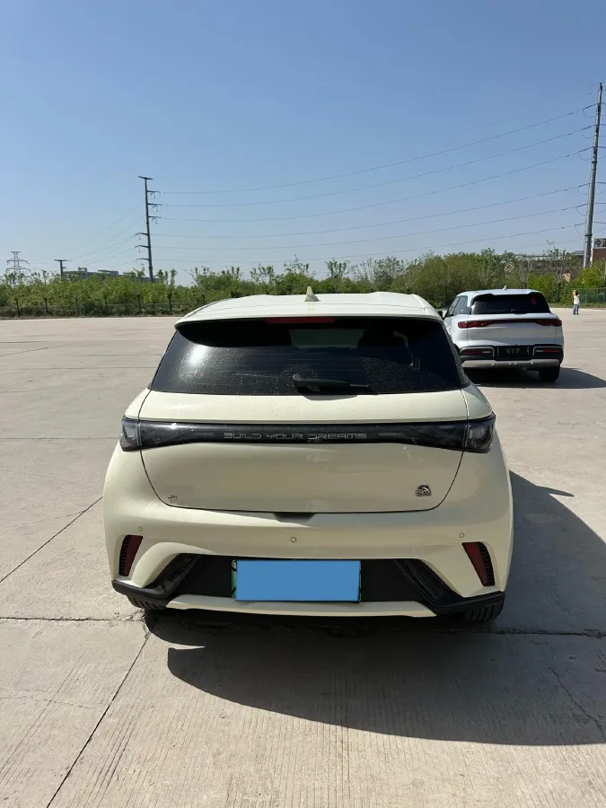 2023 BYD Dolphin BEV 44.928KWH,autocango,china used car exporter,china ev exporter,chinese used car exporter,chinese used ev exporter