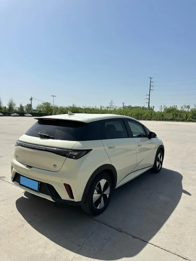 2023 BYD Dolphin BEV 44.928KWH,autocango,china used car exporter,china ev exporter,chinese used car exporter,chinese used ev exporter