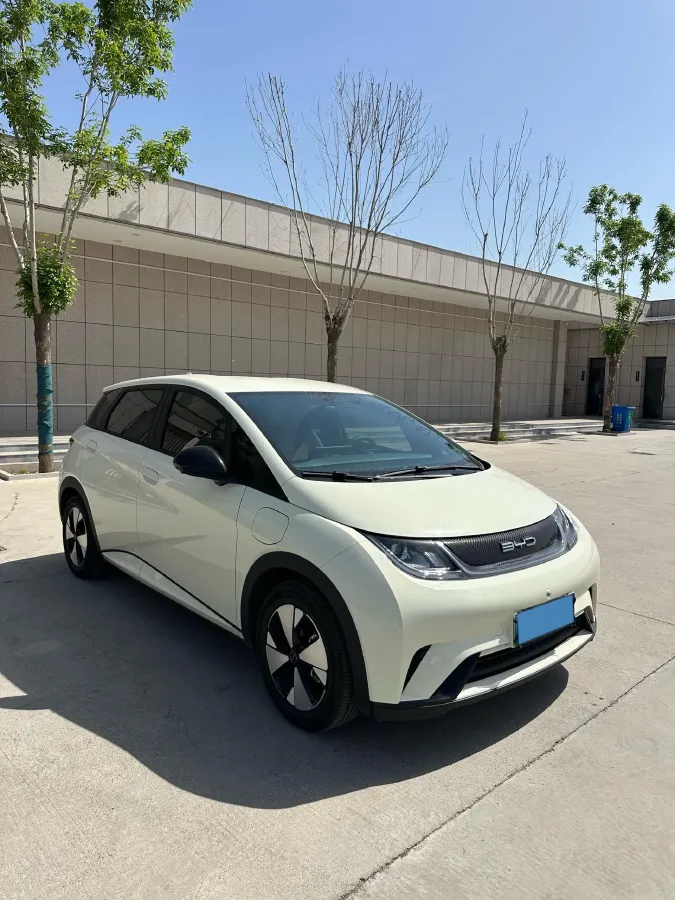 2023 BYD Dolphin BEV 44.928KWH,autocango,china used car exporter,china ev exporter,chinese used car exporter,chinese used ev exporter