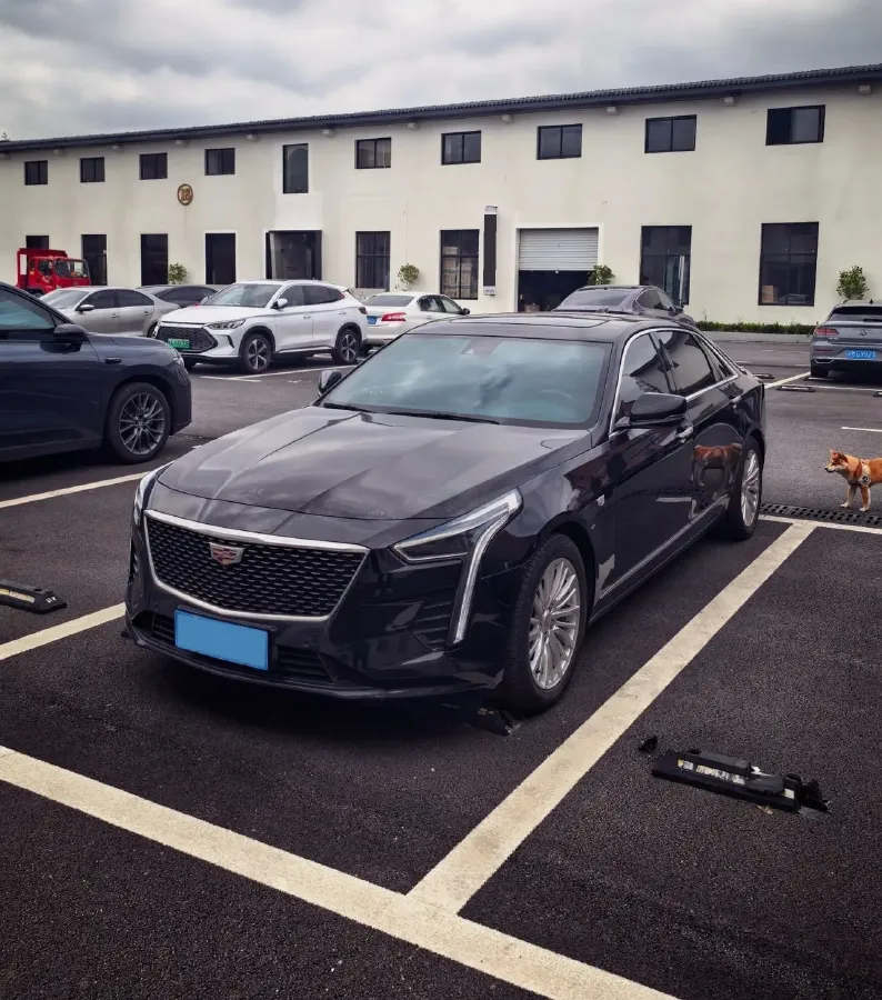 2022 Cadillac CT6 2.0T 237HP L4 10AT,autocango,china used car exporter,china ev exporter,chinese used car exporter,chinese used ev exporter