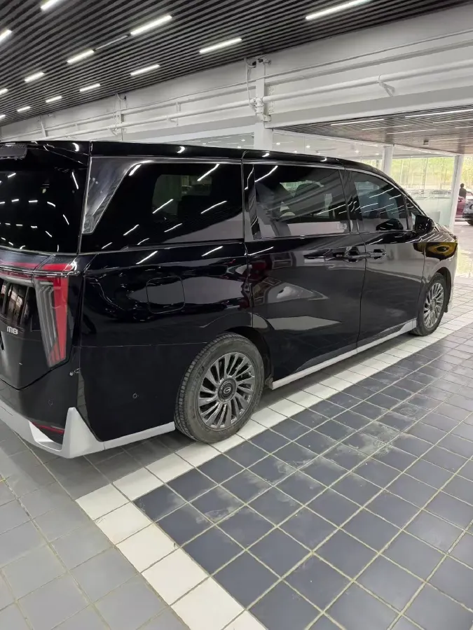 2024 GAC Trumpchi M8 2.0T 252HP L4 8AT,autocango,china used car exporter,china ev exporter,chinese used car exporter,chinese used ev exporter