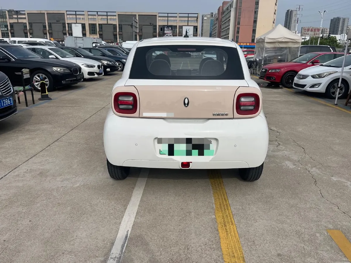 2022 Ora BlackCat BEV 30.3KWH,autocango,china used car exporter,china ev exporter,chinese used car exporter,chinese used ev exporter