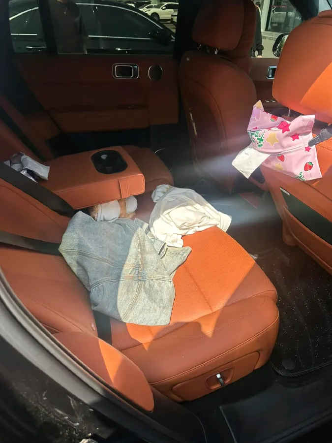 2025 Li L6 Range Extended 154HP L4 REEV,autocango,china used car exporter,china ev exporter,chinese used car exporter,chinese used ev exporter