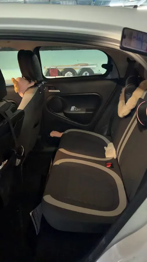 2021 Ora BlackCat BEV 28.5KWH,autocango,china used car exporter,china ev exporter,chinese used car exporter,chinese used ev exporter