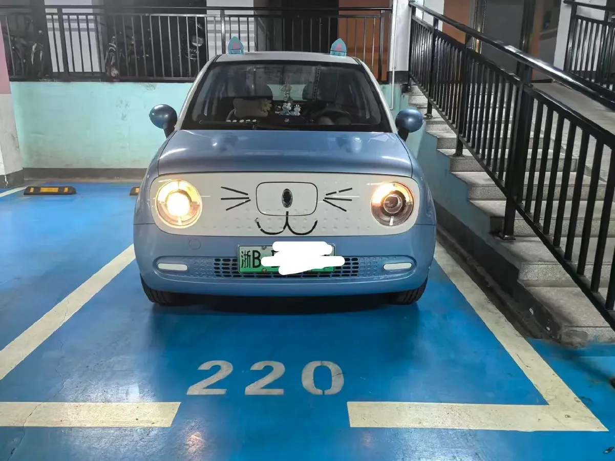 2021 Ora BlackCat BEV 28.5KWH,autocango,china used car exporter,china ev exporter,chinese used car exporter,chinese used ev exporter